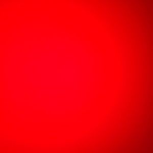 Meet your Posher, Bennett